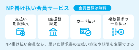 np_loan_member